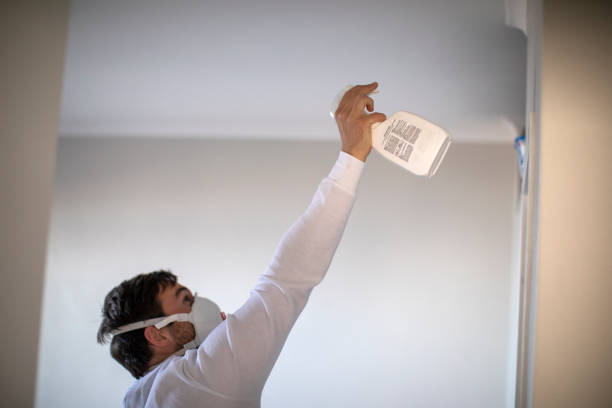 Best Same-Day Mold Removal  in Eggertsville, NY